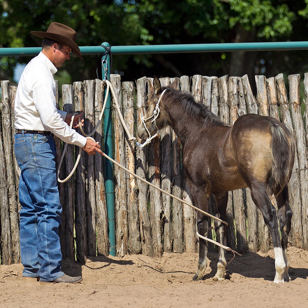 Chrome Aussie Tie Ring