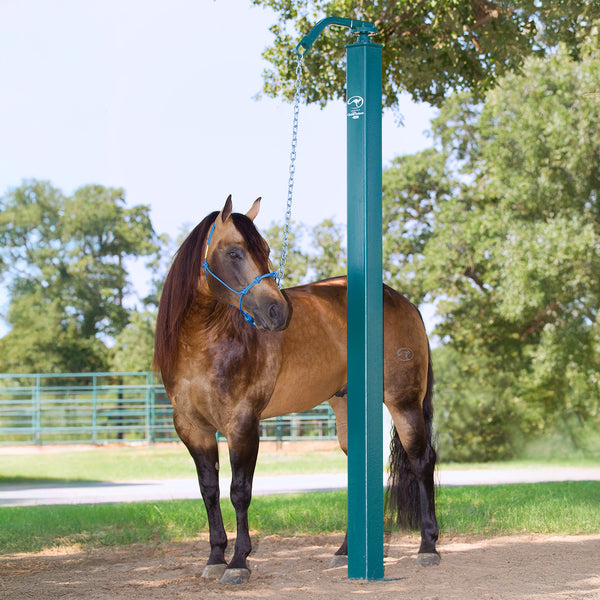 Horse Patience Pole
