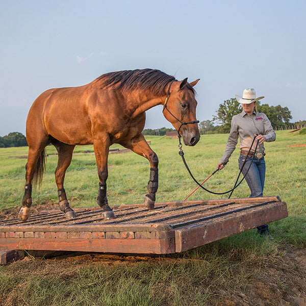 Classic Legacy System 2 Front Boots