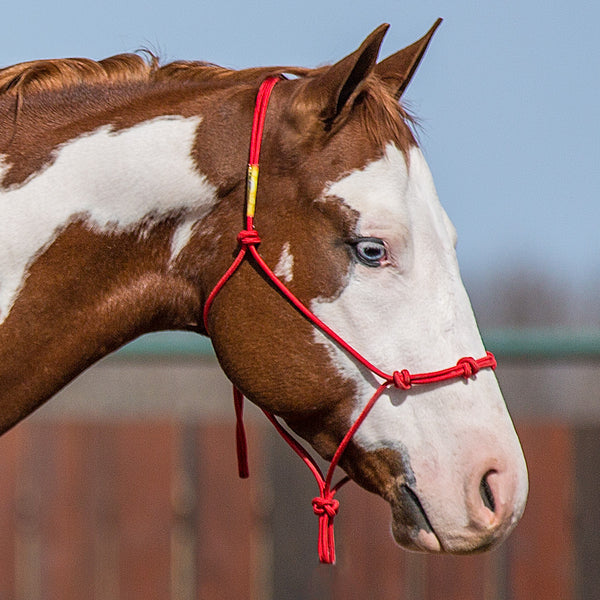 Downunder Horsemanship Rope Halter