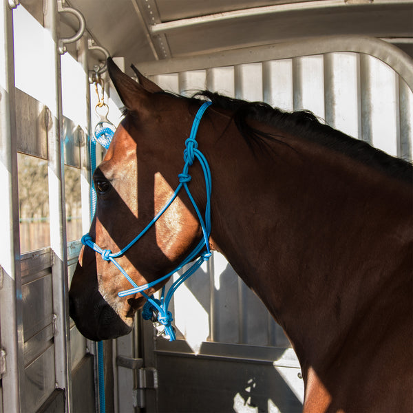 Chrome Aussie Tie Ring
