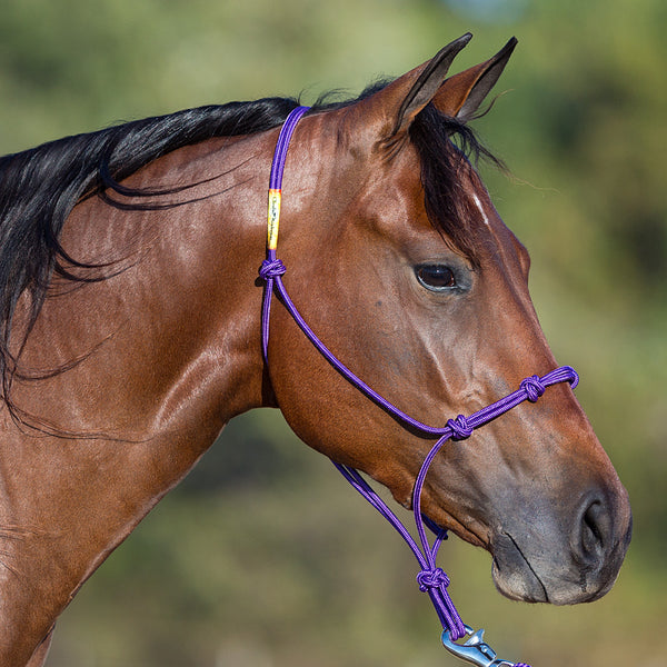 purple halter