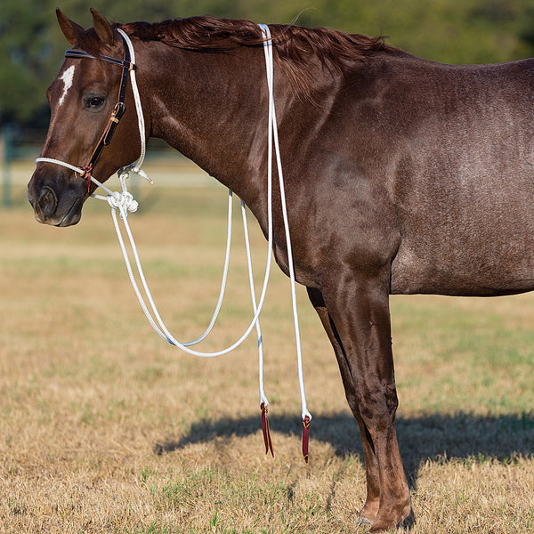 Aussie Horse Hackamore
