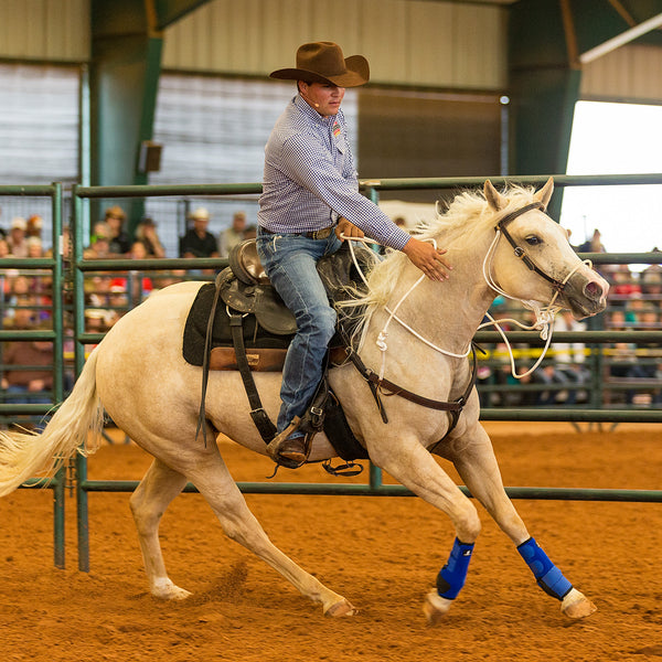 Aussie Horse Hackamore