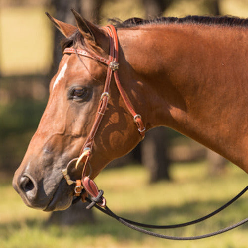 Performance Horse Slobber Straps