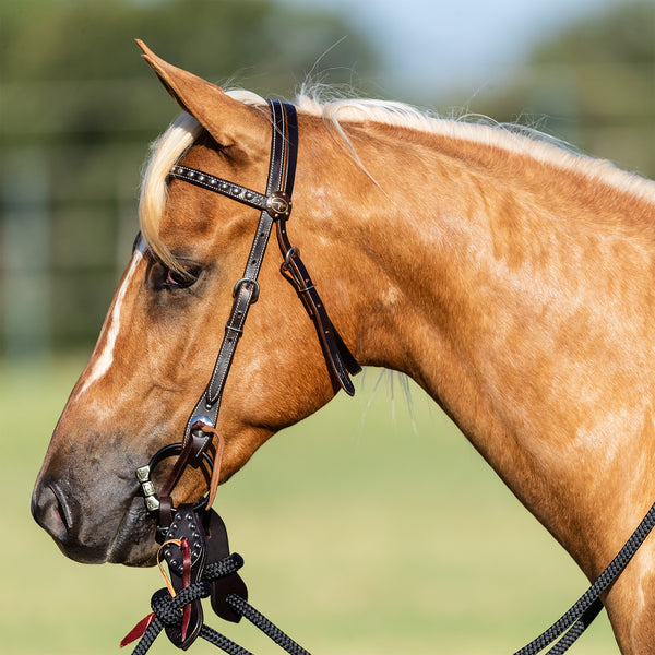 Dotted Chocolate Mecate Set