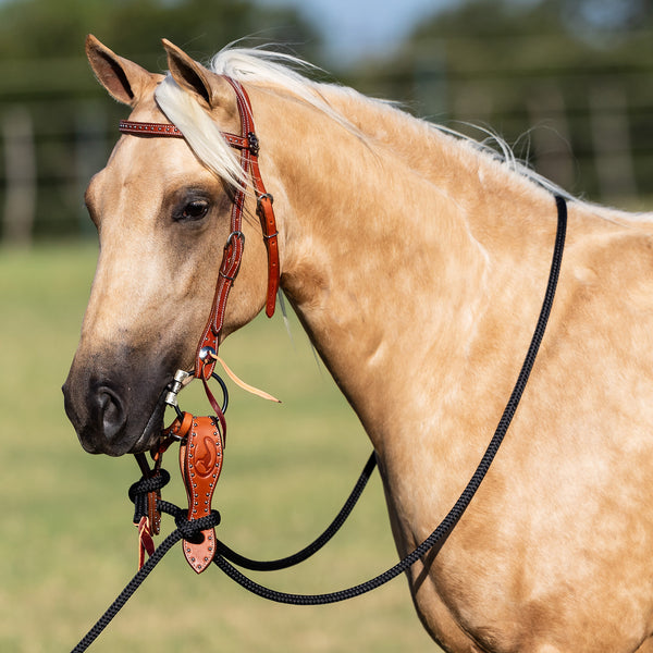 Dotted Chestnut Mecate Set