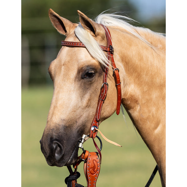 Dotted Chestnut Mecate Set