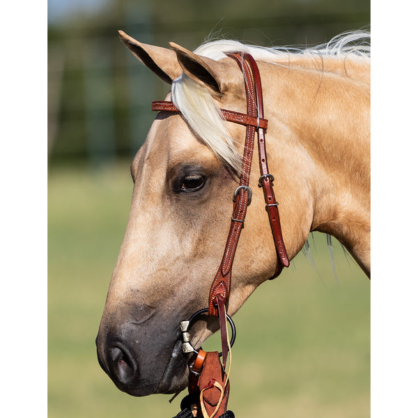 Plain Roughout Mecate Set