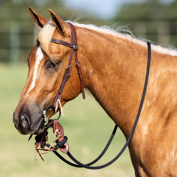 Barbwire Trick Bridle Set