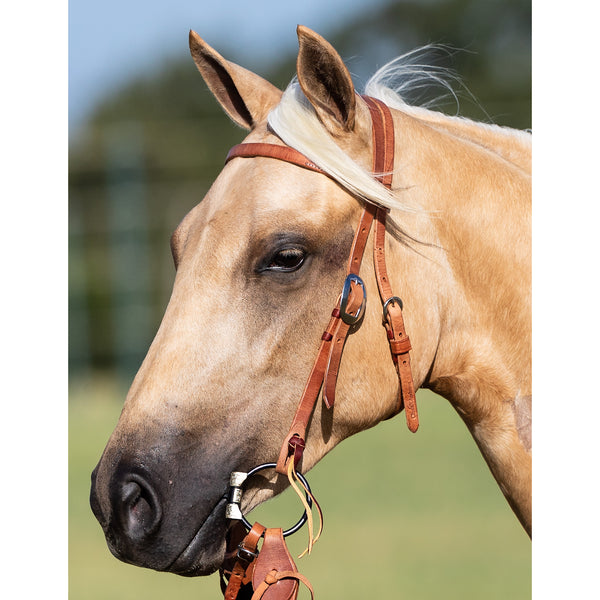 Plain Harness Mecate Set