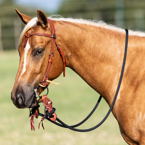 Basket Stamp Trick Bridle Set