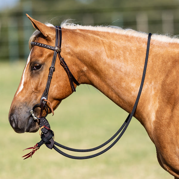 Dotted Chocolate Trick Bridle Set