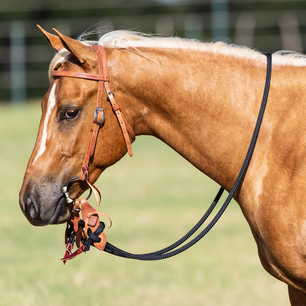 Plain Harness Trick Bridle Set