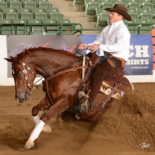 Performance Horse Reins