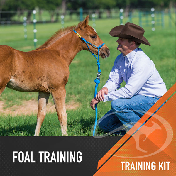 Foal Training Series - Digital Download