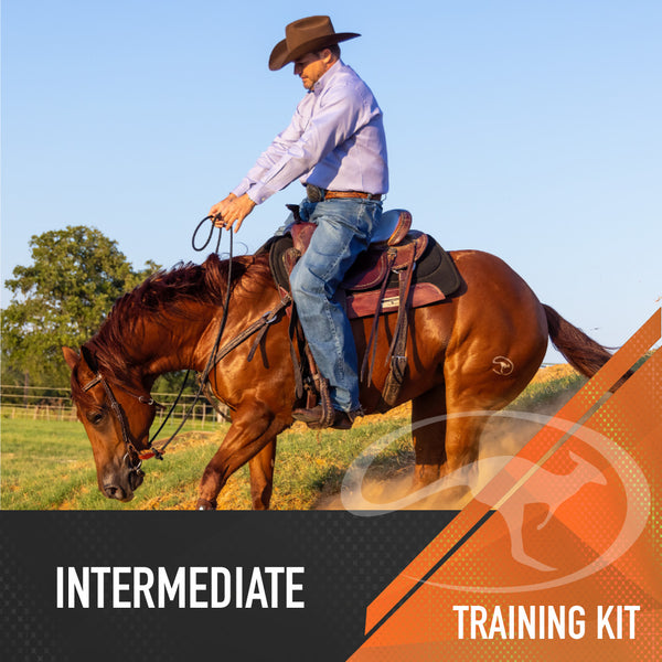 Intermediate Series - Digital Download