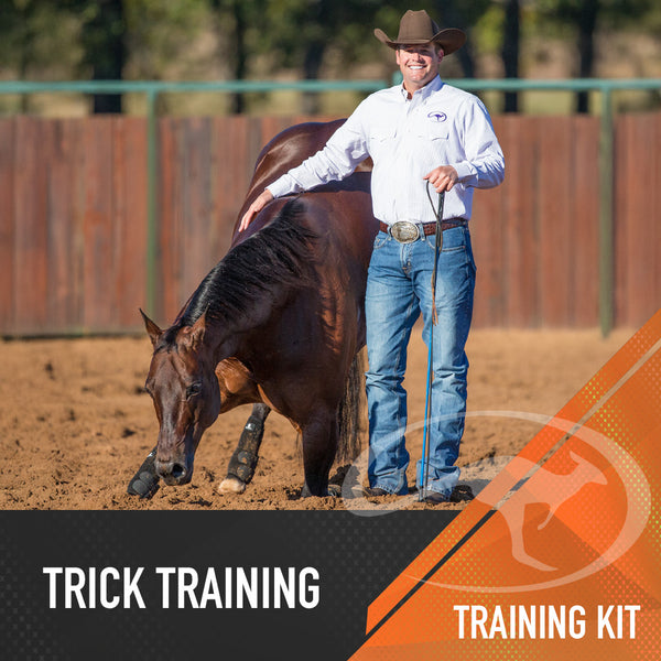 Trick Training Series - Digital Download