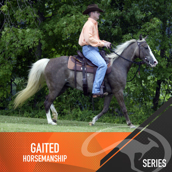 Gaited Horsemanship - Digital Download