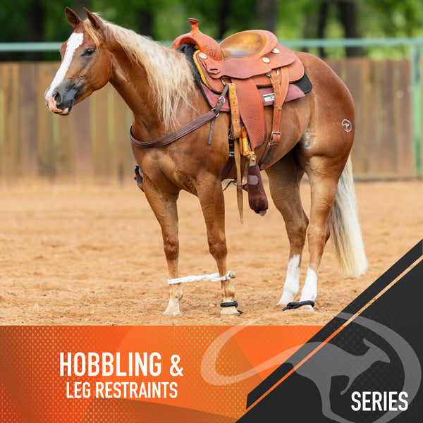 Hobbling and Leg Restraints - Digital Download