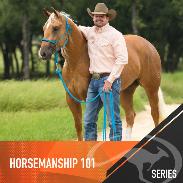 Horsemanship 101 - Digital Download