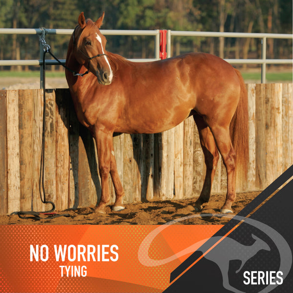 No Worries Tying - Digital Download