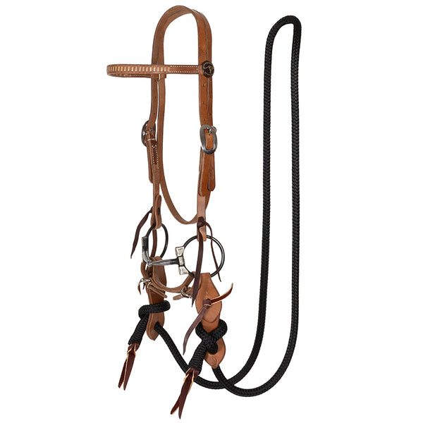 Rawhide Laced Trick Bridle Set