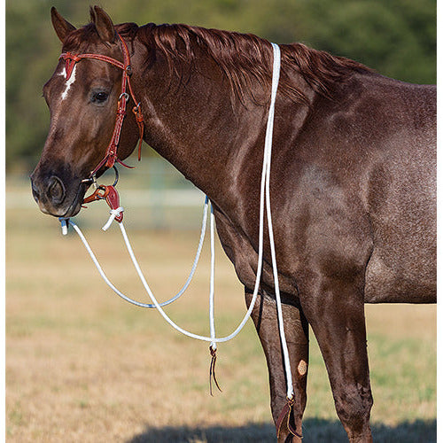 Performance Horse Reins