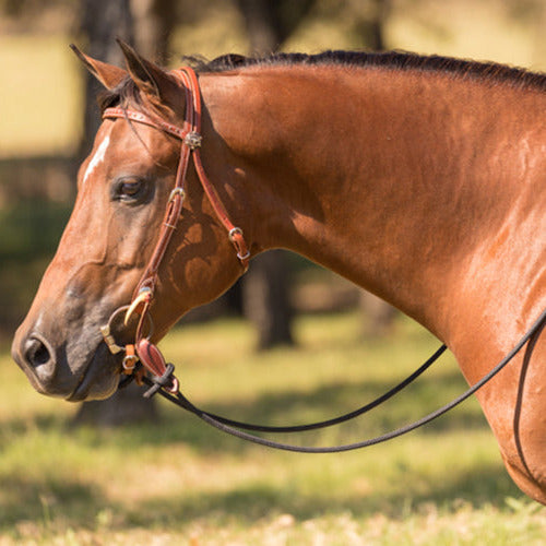 Performance Horse Reins