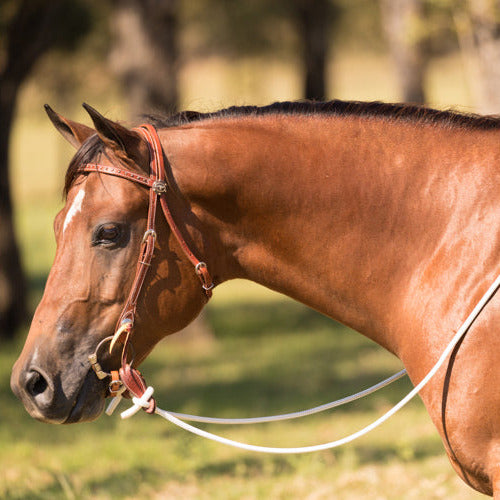 Performance Horse Reins