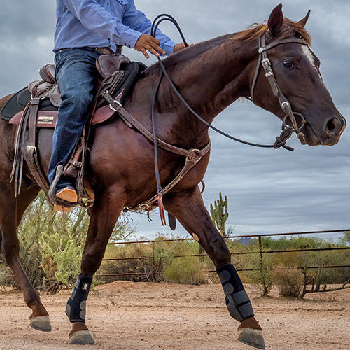 Performance Horse Reins