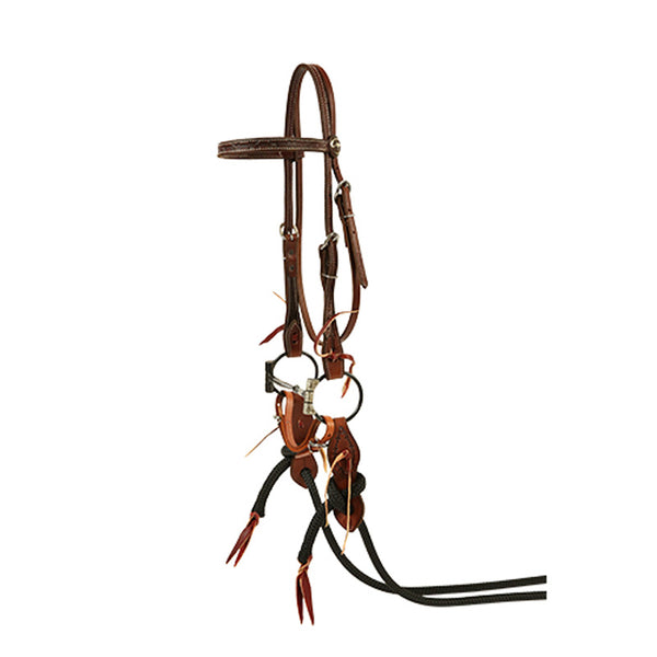 Barbwire Trick Bridle Set