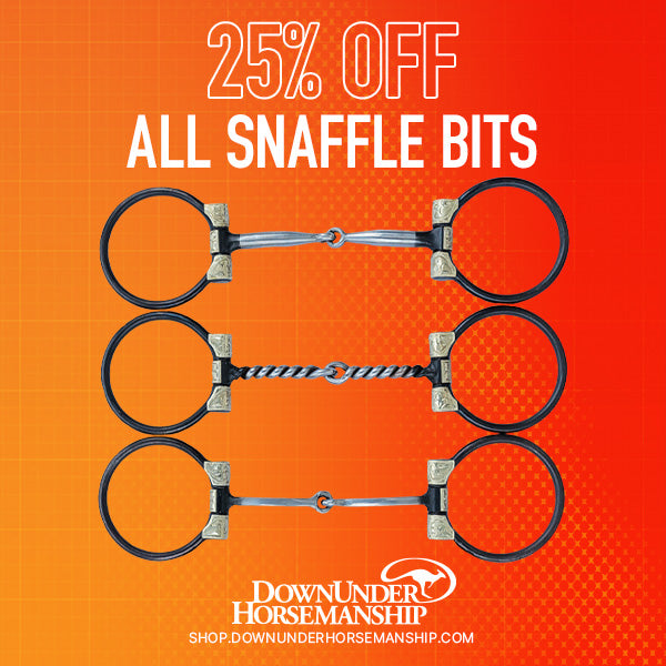 Sweet Iron Snaffle Bit