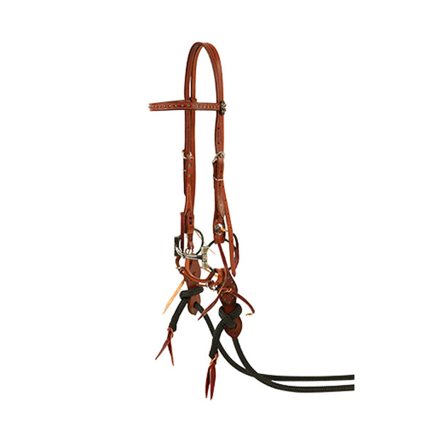 Dotted Chestnut Trick Bridle Set