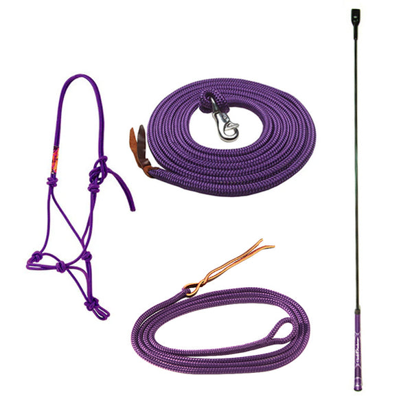 Adult Training Essentials Bundle