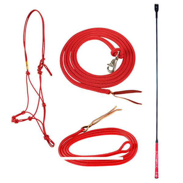 Adult Training Essentials Bundle