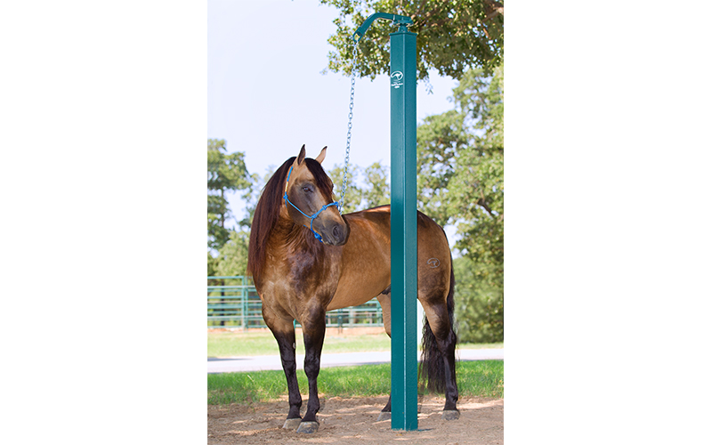 Horse Care — Quality Horseman Equipment
