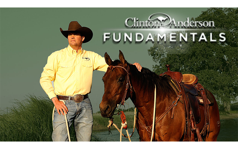 Groundwork Series-Fundamentals and Foal Training 22 DVDs Clinton Anderson 