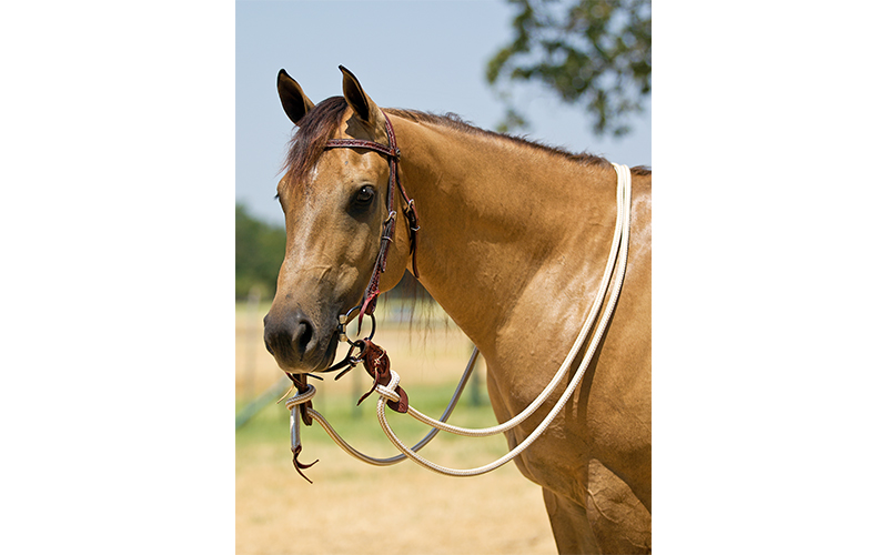 How to Safely Tie Your Horse Using Mecate Reins