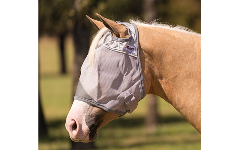 Details about   CASHEL CRUSADER FLY MASK Standard HORSE WITH COVERS EARS sun protection 