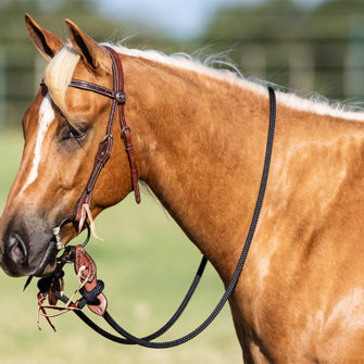 BARBWIRE TRICK BRIDLE SET – Downunder Horsemanship