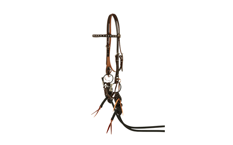 DOTTED CHOCOLATE TRICK BRIDLE SET