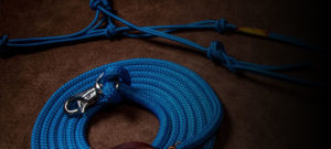 halter lead rope