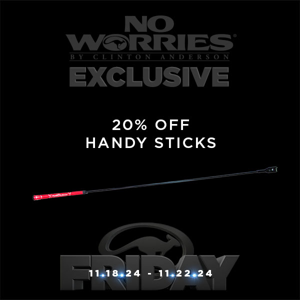 Kid Handy Stick